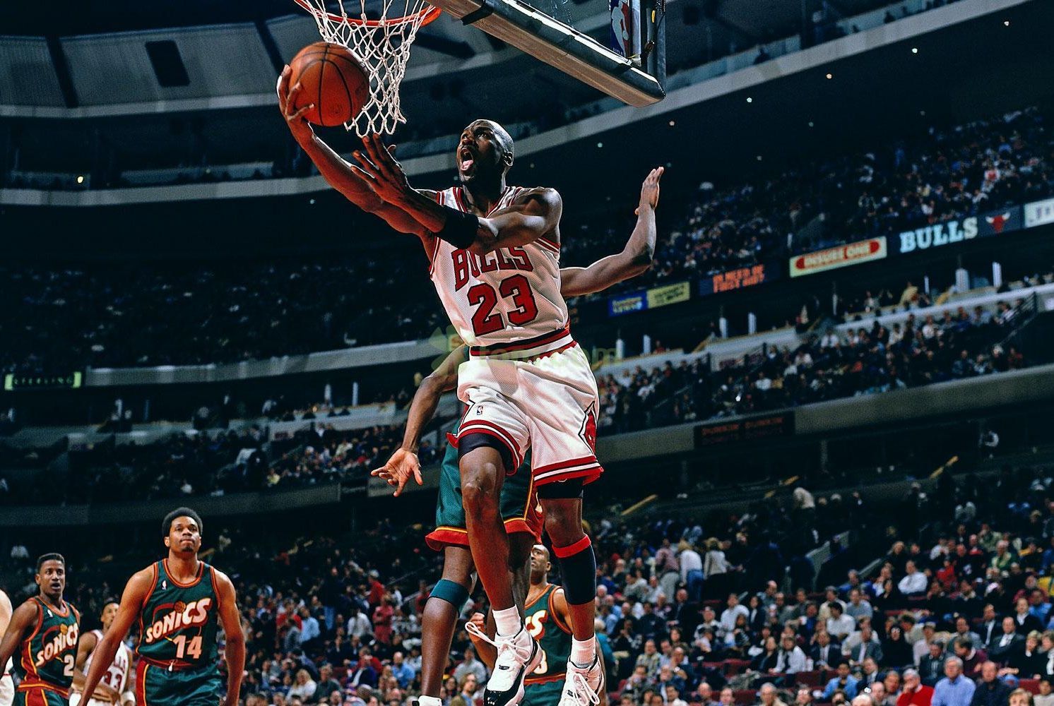 训练资源 训练资源