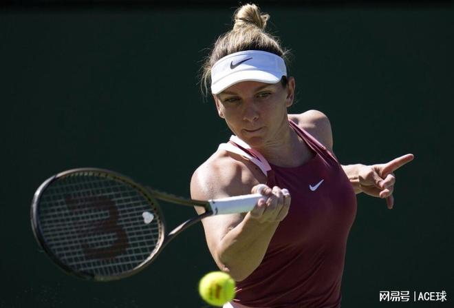 报的漫画化 报的漫画化