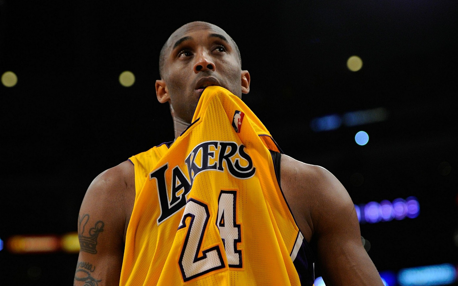 大洲的国家 大洲的国家