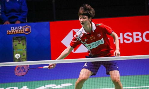 在球探与数 在球探与数